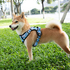 PoyPet plaid harness with soft padding and breathable mesh for comfort.