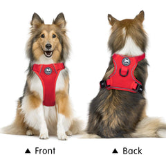 PoyPet Soft breathable mesh dog harness red keeps dogs cool during daily strolls.