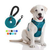 PoyPet Tumalo Teal harness front D-ring for no-pull control during walks.