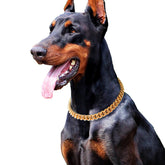 PP COLOR gold chain dog collar 15mm close-up shows lightweight coating for comfortable wear.