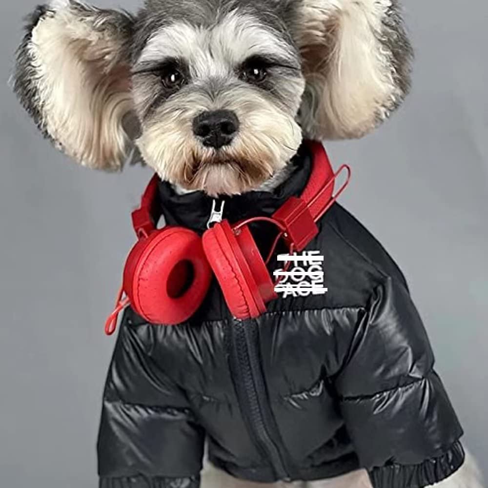 PQIQP dog winter coat black front-view; warm duck-down helps chilly walks