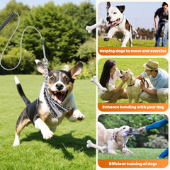 Pragmatist Outdoor Flirt Pole dog in play captures active exercise and bonding moments.