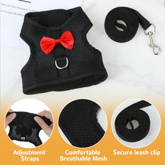 Prasacco leash 121cm extended shows long leash for controlled freedom during walks.