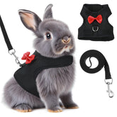 Prasacco bunny harness on rabbit demonstrates a secure fit for outdoor walks.