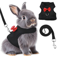 Prasacco bunny harness on rabbit demonstrates a secure fit for outdoor walks.