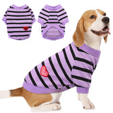 Preferhouse striped purple dog shirt front view highlights stylish comfort for daily walks.