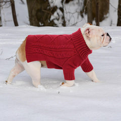 Preferhouse red knit dog sweater demonstrates versatile style for photos or outings.
