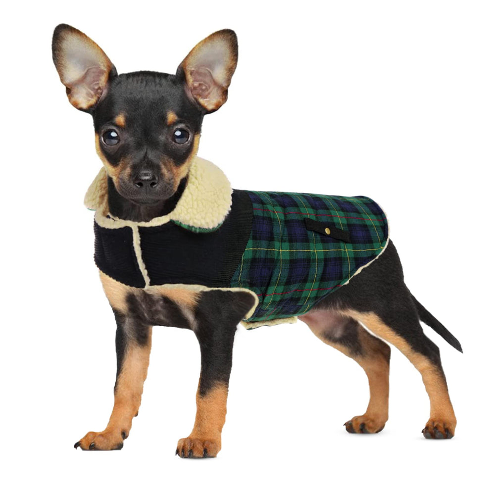 Preferhouse winter coat for dogs green M walking outdoors with windproof warmth