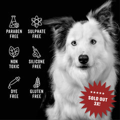 PRIDE AND GROOM Leave In conditioner mist on coat for faster detangling and shine.