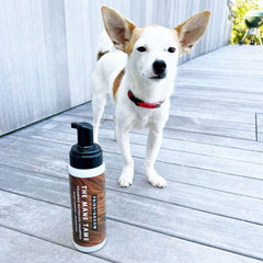 Pride and Groom Mane Tame foam-application shows even coat coverage for effortless grooming.
