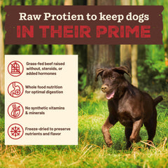 Primal Pet Foods grass-fed beef protein portion showcases high-quality protein source.