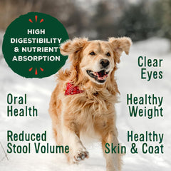 Primal Pet Foods ingredients image with USDA fruits and vegetables