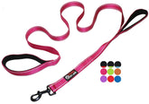 Primal Pet Gear dog leash with traffic-padded dual handles for comfortable control.