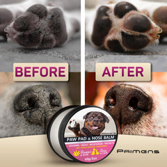 Primens Dog Paw Balm in snow scene highlights winter protection for pads.