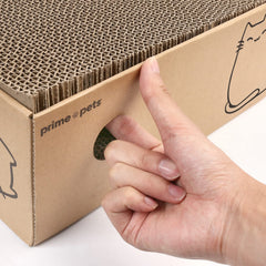 PrimePets-catnip-pack attracts cats to the scratcher for focused play