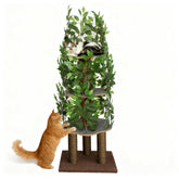 Priorpet Cat Tree with Leaves base shows stable foundation for safe indoor climbing and lounging.