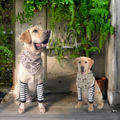 PriPre breathable mesh fabric keeps dogs comfortable during extended wear.