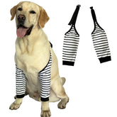 PriPre dog knee protector in stripe print offers stylish knee protection during recovery.