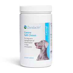 PRN Pharmacal Duralactin chews bottle-front shows joint-support product for dogs