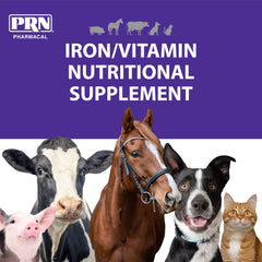 PRN Liqui-Tinic 4X dosing scene demonstrates easy daily administration for dogs and cats.