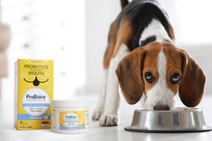 Probiora for Dogs fresh breath closeup highlights improved breath and cleaner gums.