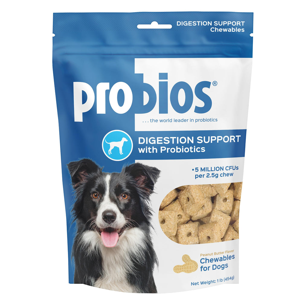 Probios Digestive Support Chewables bottle shown for gut health and daily probiotic support.