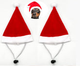 ProCover mini dog Santa hat red close-up for festive pet photos