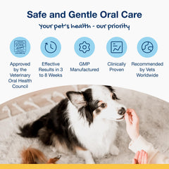 ProDen PlaqueOff Dental Bites on serving dish highlighting daily dental routine