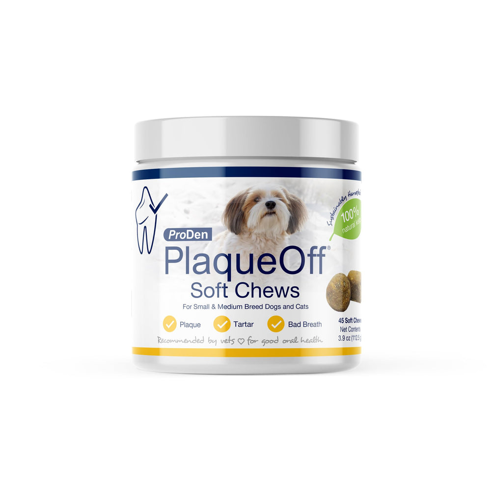 ProDen PlaqueOff Soft Chews pack shot highlighting natural kelp dental support.