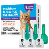 ProElobara flea-tick topical application on shoulder blades for cats