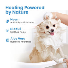 Project Sudz medicated-dog-shampoo-bar-before-use shows compact 4 oz bar.
