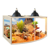PROLEE Bearded Dragon Tank curved front view offers crystal-clear visibility for daily reptile activity.