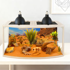 PROLEE Bearded Dragon Tank three-side clear panels ensure wide angles and easy viewing.