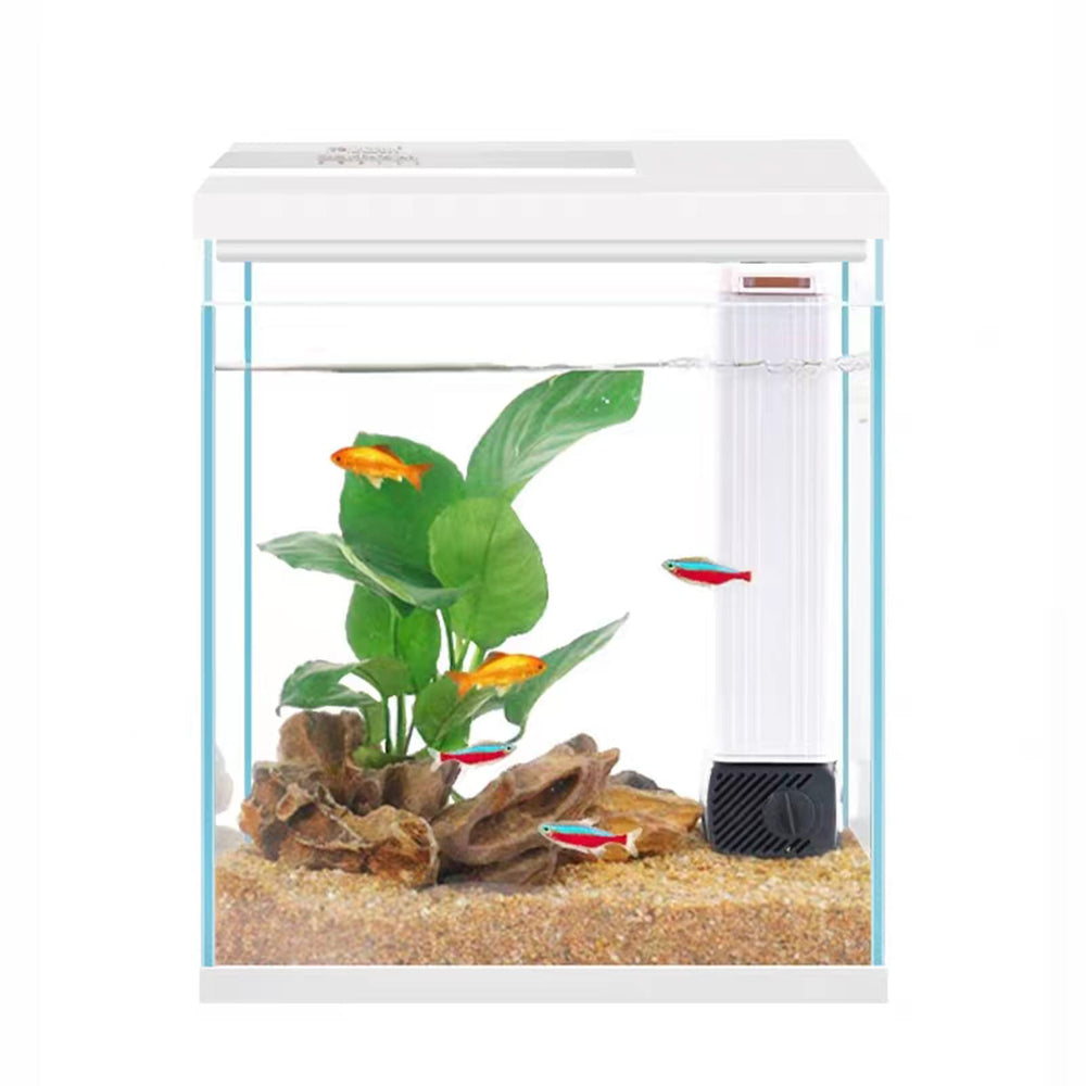 Pronetcus Betta Tank 2-gallon glass offers crystal clarity for easy viewing of fish