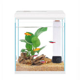 Pronetcus Betta Tank 2-gallon glass offers crystal clarity for easy viewing of fish