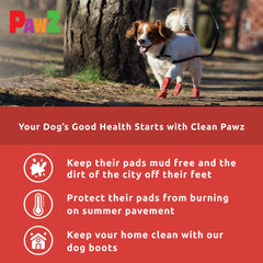 Protex PawZ anti-slip traction sole helps prevent slips on wet surfaces.