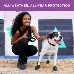 Protex PawZ waterproof dog boots in snow keep paws dry during winter walks and play.
