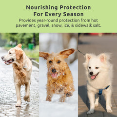 Protex PawZ MaxWax winter protection guards pads from ice melt