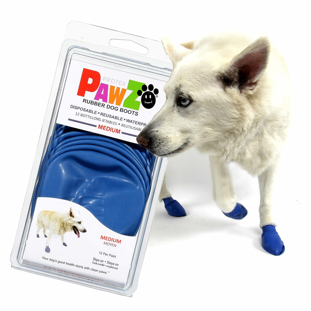 Protex PawZ medium boots on a dog's paw show secure fit and protection.