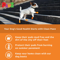 Protex PawZ waterproof boots shown in rainy scene
