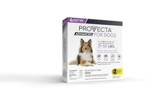 PROVECTA dog outdoors in yard, demonstrating pest protection in action.