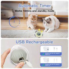 Pskfvre hide-and-seek mouse game boosts chasing and pouncing skills.