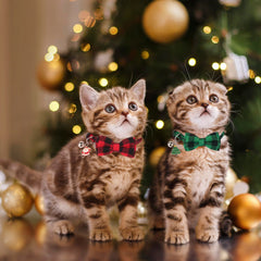 PTDECOR bell-removable cat collar ready for easy finding and charm options.