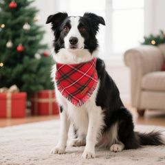 PTDECOR Christmas dog bandana green plaid tassels adds cheerful holiday look.