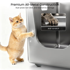 PTFFF curved low-entry design for easy kitten and senior cat access.