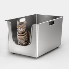 PTFFF stainless steel litter box with open top for better health monitoring and airflow.