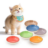 PTOBER colorful ceramic cat bowls set in rainbow hues for multi-cat dining