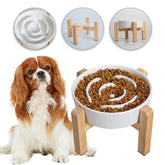 PTOBER elevated slow-feeder bowl ceramic for durable, calmer meals.