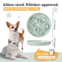 PTOBER slow feeder bowl with floral maze in pink supports calm dining for cats and small dogs.