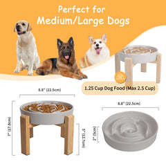 PTOBER puzzle maze dish closeup shows ridges for slower eating.